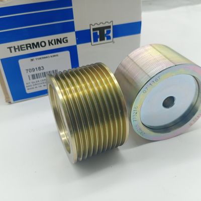 TS16949 Thermo King 냉동 장치 709183 벨트 텐셔너