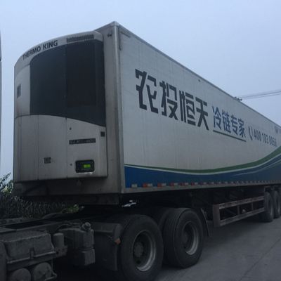 음식 냉각용 테르모 킹 0 섭씨 SLXI 300 냉동 장치